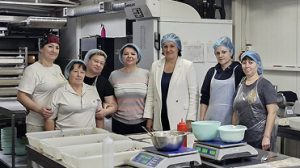 Консультации с компаниями-участницами проекта «Гендерное равенство и устойчивое экономическое развитие на обоих берегах  Днестра»